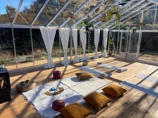 ayahuasca retreat with The Opah