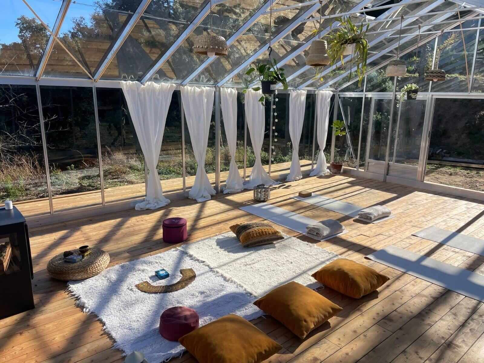 7 Reasons to Do an Ayahuasca Retreat with The Opah